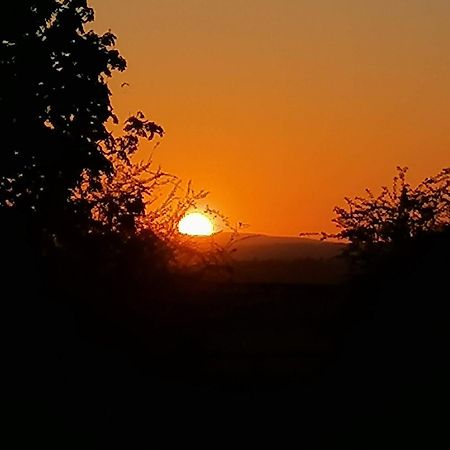 Stargazer Glamping Uk The Mahal 8 People Hotel Ross-on-Wye Bagian luar foto