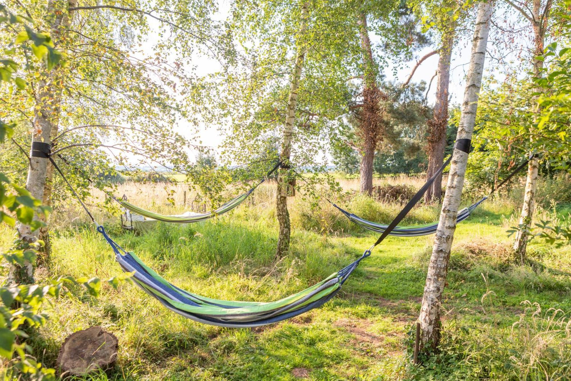 Stargazer Glamping Uk The Mahal 8 People Hotel Ross-on-Wye Bagian luar foto