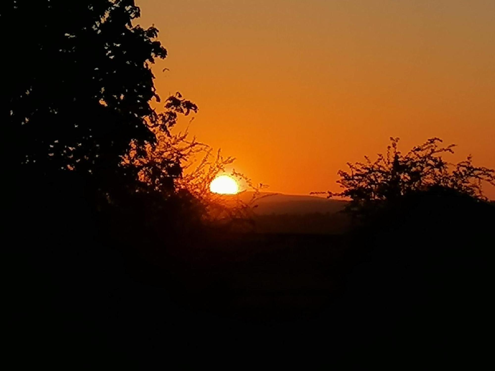 Stargazer Glamping Uk The Mahal 8 People Hotel Ross-on-Wye Bagian luar foto