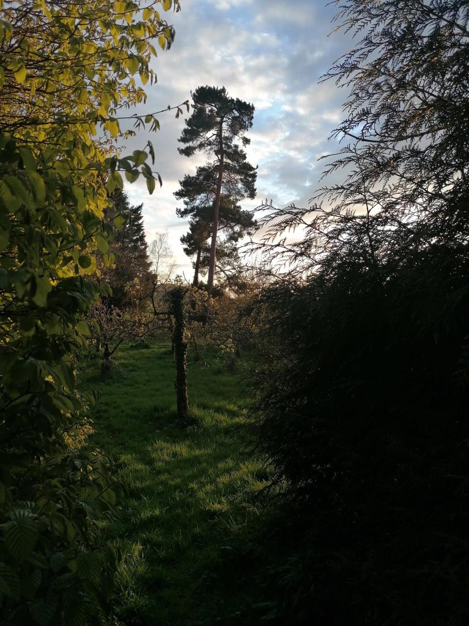 Stargazer Glamping Uk The Mahal 8 People Hotel Ross-on-Wye Bagian luar foto